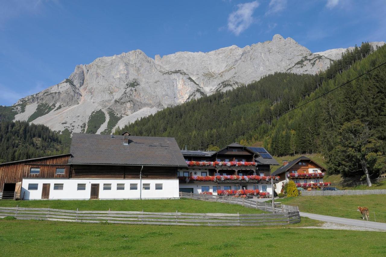 مبيت وإفطار رامساو أم داتشستين Feichtlehnerhof المظهر الخارجي الصورة