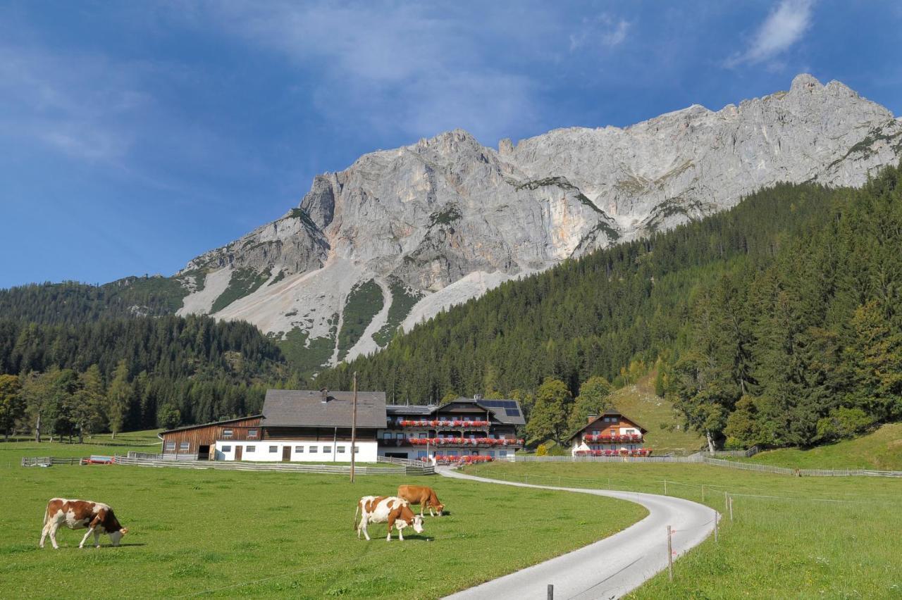 مبيت وإفطار رامساو أم داتشستين Feichtlehnerhof المظهر الخارجي الصورة